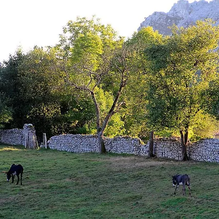 Apartmán Rurales 